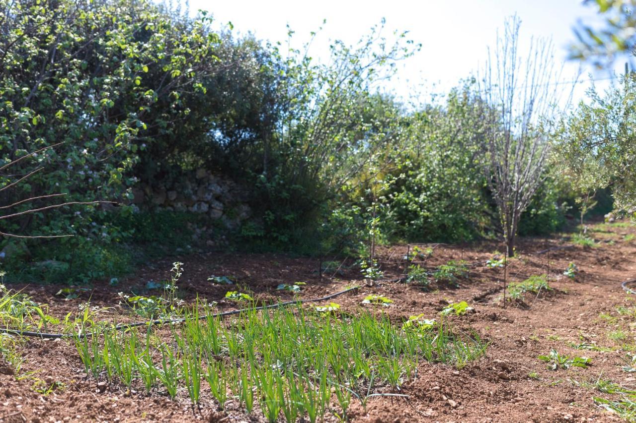 Eden'S Garden Skouloufia Villa Bagian luar foto