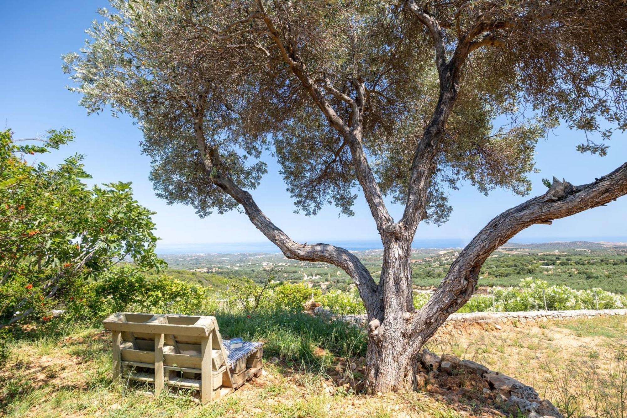 Eden'S Garden Skouloufia Villa Bagian luar foto