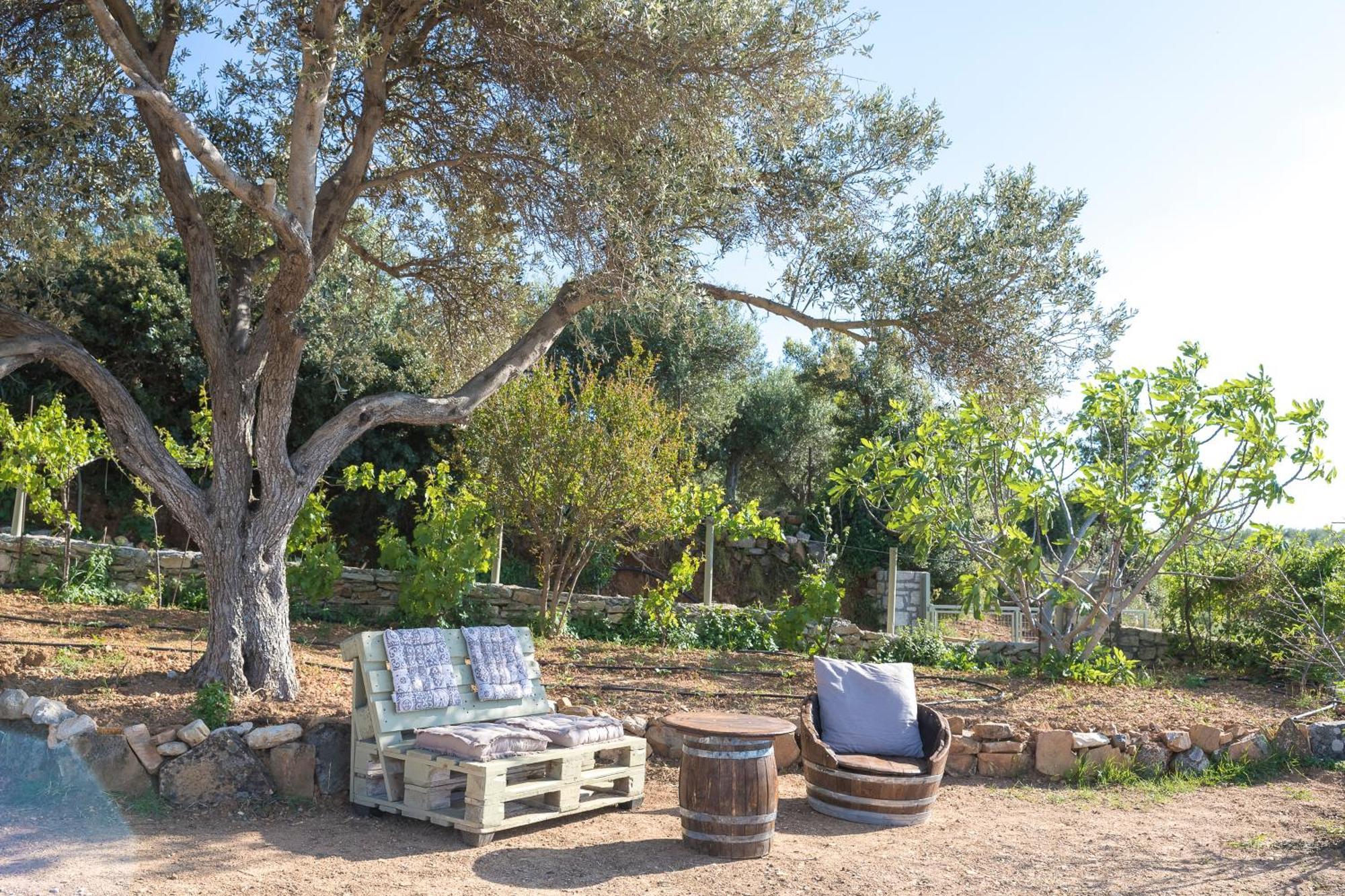 Eden'S Garden Skouloufia Villa Bagian luar foto