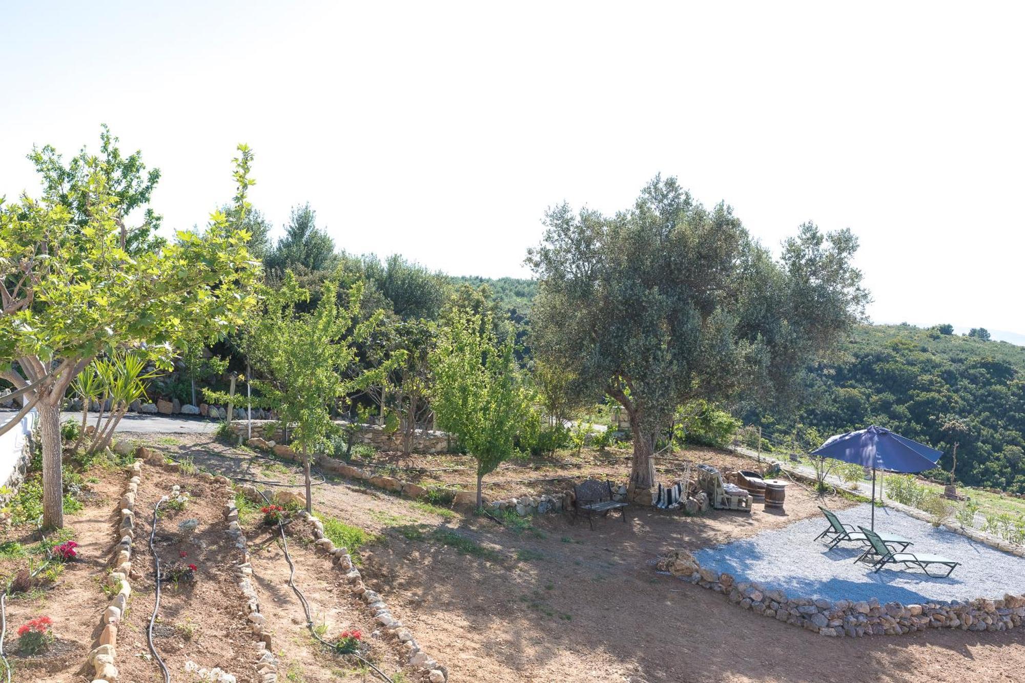 Eden'S Garden Skouloufia Villa Bagian luar foto