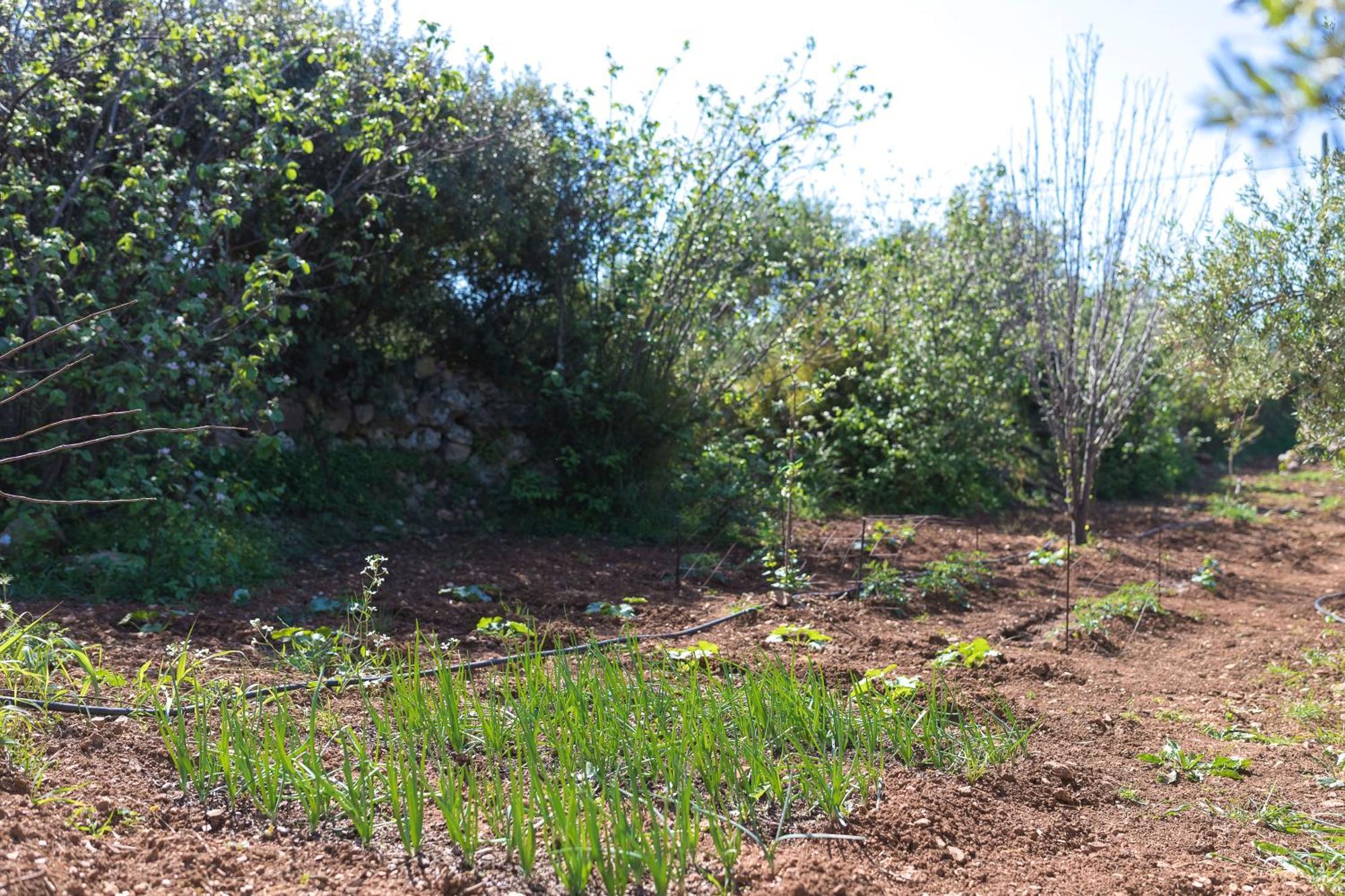 Eden'S Garden Skouloufia Villa Bagian luar foto